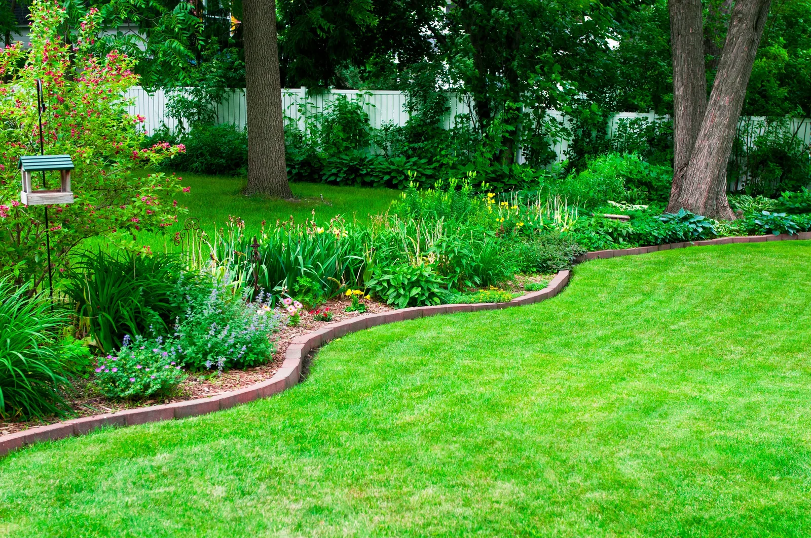 Landscaped garden bed bordering a healthy green lawn