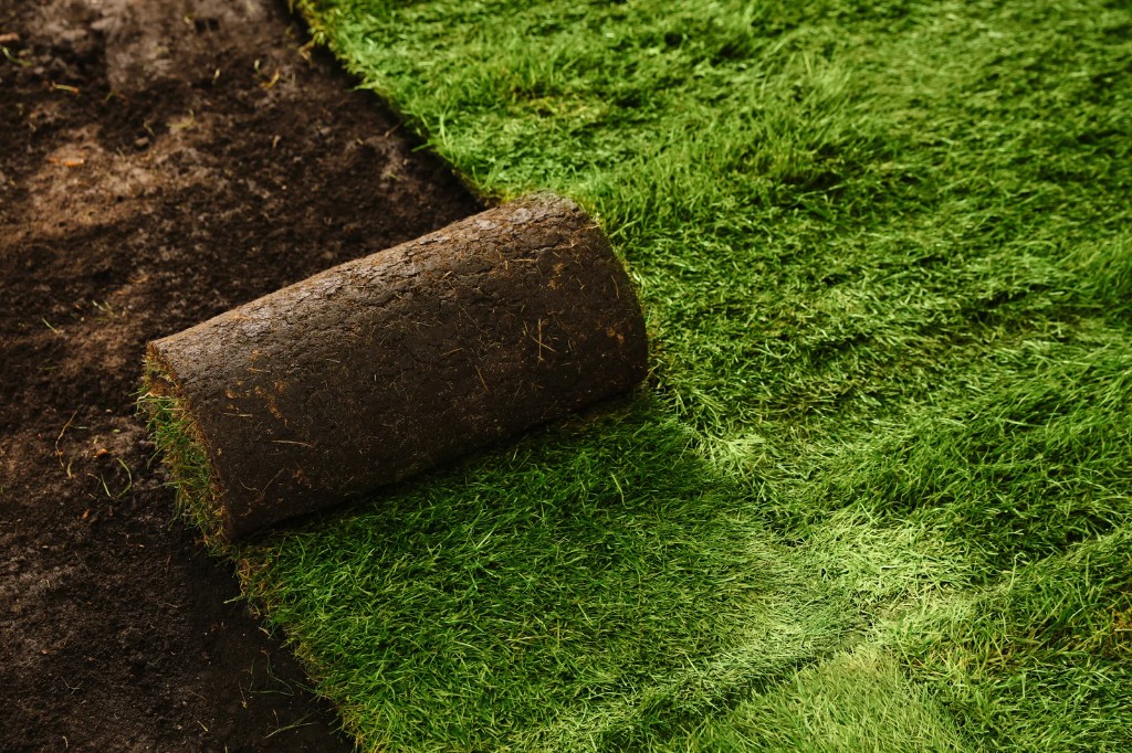 New sod being laid to establish a thick green lawn